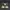 Adidas Nite Jogger Boost Grey Black Green ART FX3811 photo 5