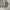 Zip Hoodie Camo Heavy Weight photo 4