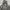 Zip Hoodie Camo Heavy Weight photo 5