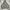 Zip Hoodie Camo Heavy Weight photo 1