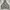 Zip Hoodie Camo Heavy Weight