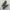 Nike Daybreak Coffee DD5273-790 photo 6