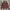 Guess Vintage Streetwear Varsity jacket Pria brown red photo 1