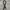 Dolce&Gabbana belt embos pattern photo 1