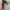 Dolce&Gabbana belt embos pattern photo 4