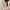 Coquette Casual Cardigan Wanita cream photo 4