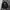 Suseven Outershirt Padded Jacket photo 2