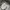 Long pants Sweatpants tiya baggy fit   photo 6