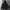Alpha Industries N3B Type Parka Jacket photo 1