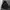 Alpha Industries N3B Type Parka Jacket photo 3