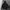Alpha Industries N3B Type Parka Jacket photo 4