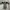 Sportswear Jersey Pria white black photo 6