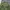 Bedwin & The Heartbreakers Camouflage Quilted Jacket photo 4