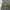 Bedwin & The Heartbreakers Camouflage Quilted Jacket