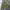 Bedwin & The Heartbreakers Camouflage Quilted Jacket photo 5