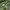 Bedwin & The Heartbreakers Camouflage Quilted Jacket photo 8