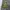 Bedwin & The Heartbreakers Camouflage Quilted Jacket photo 6
