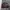 Poljac Uniform MA 1 Type Bomber Jacket photo 1