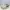 Nike Daybreak Pale Ivory photo 4