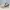 Nike Daybreak Pale Ivory photo 1