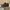 Asics Gel-NYC - Reddish Brown Steeple Grey ORIGINAL Size EU  photo 1