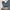 Blue jeans gucci photo 1