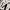 Apple Watch Series 3 38mm photo 3