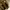 Adidas X 15 .3 In photo 1