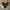 New Balance Indie Casual Sneakers Pria white black photo 3