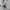 zipper photo 4