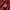 Puma AC Milan 125th Anniversary Authentic LS Jersey photo 5