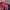 Puma AC Milan 125th Anniversary Authentic LS Jersey photo 2