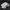 Nike Air Zoom Division White Black CK2946-101 photo 1