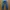 Jeans Invisible Blue Wash Ripped
