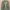 Combat Shirt Ubacs Tactical Green XXXL fit XXL photo 1