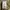 Sweater Hoodie Adidas Future Icon DPM Camo Original L photo 8