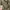 Sweater Hoodie Adidas Future Icon DPM Camo Original L photo 3