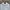 Hoodie Abercrombie Spellout White photo 2