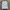 Hoodie Abercrombie Spellout White photo 1