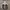 Jaket Sport Bambino  photo 1