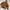 Streetwear Y2K Hoody Pria orange brown photo 8