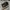 salomon xt 4 size 43 photo 1