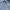 Burberry Luxury Formal shirt Pria white photo 2