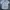 Burberry Luxury Formal shirt Pria white photo 1