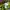 Adidas Casual Track jacket Pria yellow photo 4