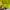 Adidas Casual Track jacket Pria yellow photo 3