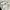 The North Face Luxury Casual T-shirt Pria white black photo 1