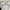 The North Face Luxury Casual T-shirt Pria White Black