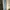 Berrybenka Overall Denim Light Blue photo 1