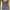 Berrybenka Overall Denim Light Blue photo 2